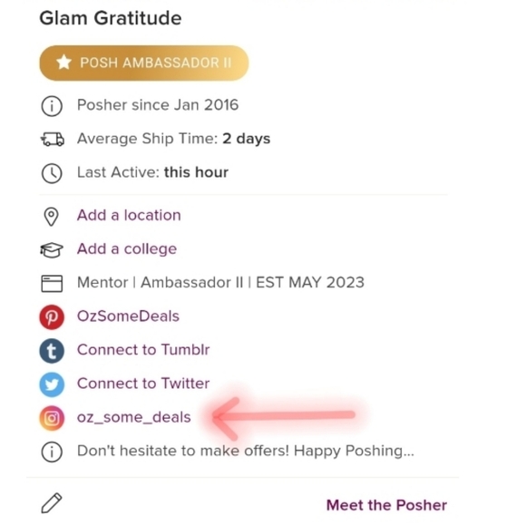 Large Parakeet Bird Cage With Vibrant Colors, 1 Ladder, and 2 Hanging Toys - Picture 16 of 16